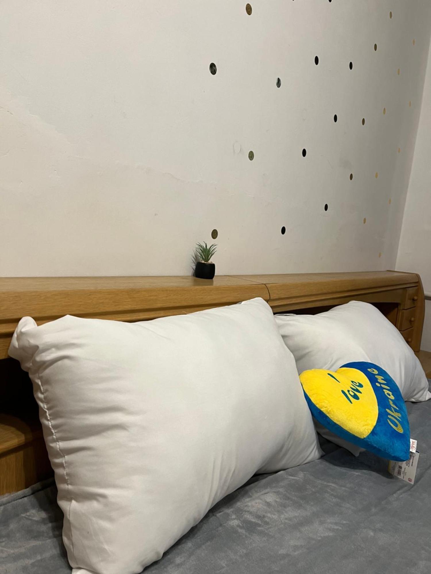 Ararat-Klovskaya Hostel-Apartments Kiev エクステリア 写真